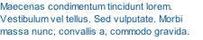 Maecenas condimentum tincidunt lorem. Vestibulum vel tellus. Sed vulputate. Morbi massa nunc, convallis a, commodo gravida.
